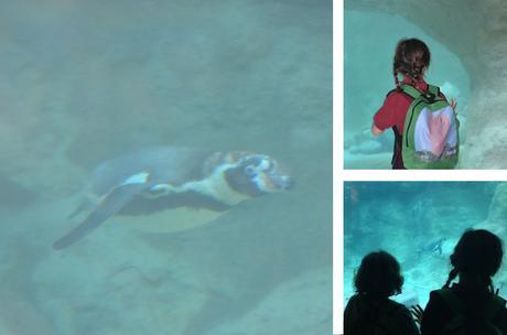 frigo helado Koloriki