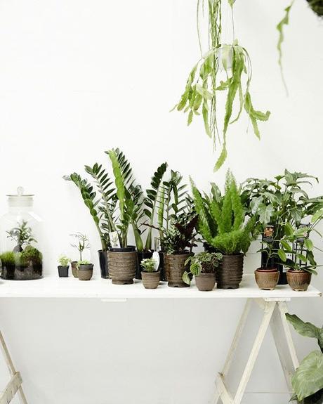 Pinterest