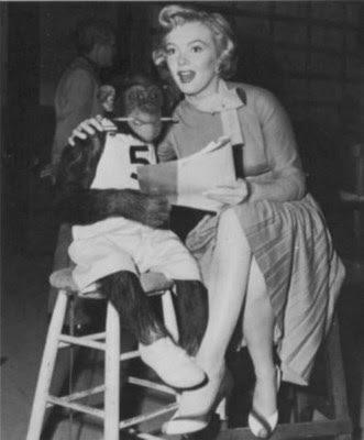 Las mascotas de Marilyn Monroe