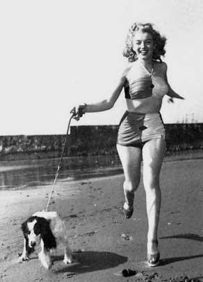 Las mascotas de Marilyn Monroe