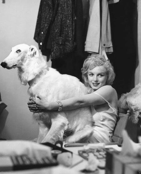 Las mascotas de Marilyn Monroe