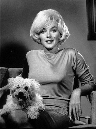 Las mascotas de Marilyn Monroe