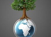 Mundial Medio Ambiente 2015