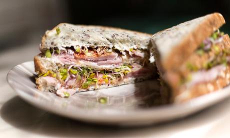 NUEVA CARTA EN EL JARDÍN DE SALVADOR BACHILLER