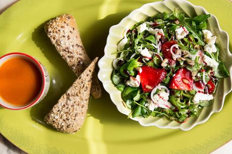 NUEVA CARTA EN EL JARDÍN DE SALVADOR BACHILLER