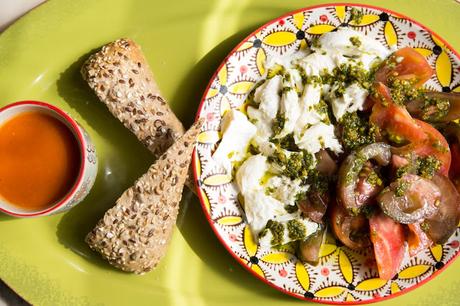 NUEVA CARTA EN EL JARDÍN DE SALVADOR BACHILLER