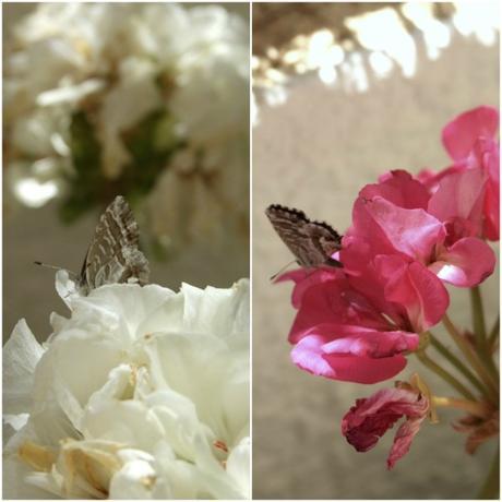 weekend inspiration, fotografiando