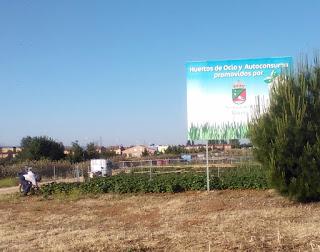 Una huerta en en medio de la ciudad