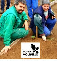 Una huerta en en medio de la ciudad