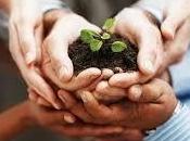 Para emprender, desprenderse