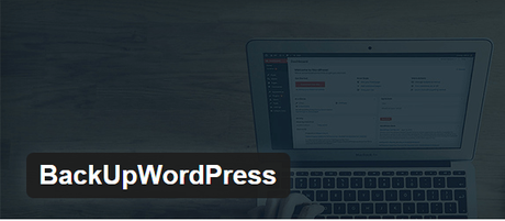 Backup WordPress Copia de Seguridad