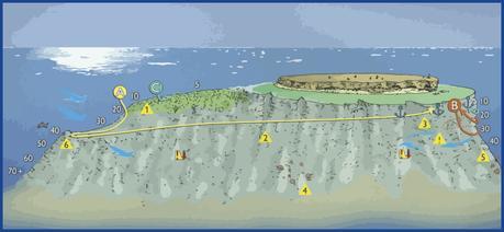 little-borhter-2-little-divers