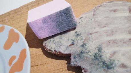 GALLETAS MAGNOLIA PINTADAS Y EFECTO PIEDRA (TUTO)