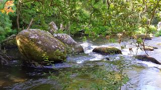 Senderismo por A Coruña: Ruta do Bocelo (Paderne y Coirós)