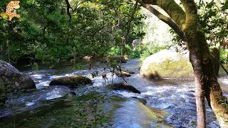 Senderismo por A Coruña: Ruta do Bocelo (Paderne y Coirós)