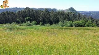 Senderismo por A Coruña: Ruta do Bocelo (Paderne y Coirós)