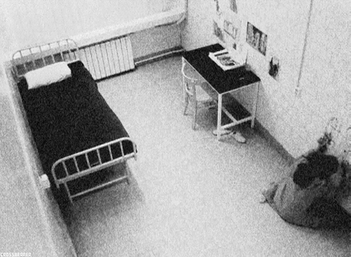 Trilogía Insanity... (Reseña)