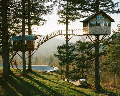 Una casa en el árbol… Un sueño hecho realidad...