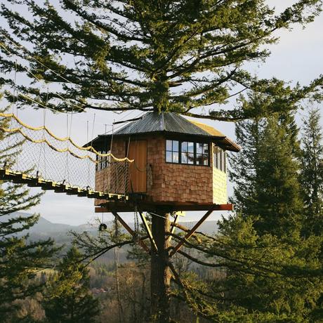 Una casa en el árbol… Un sueño hecho realidad...