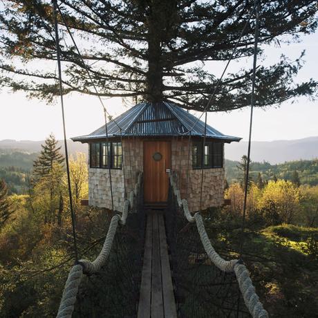 Una casa en el árbol… Un sueño hecho realidad...