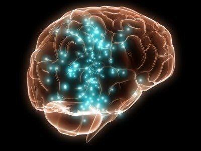 cerebro22 Triptófano, serotonina, proteínas, relajación y ansiedad