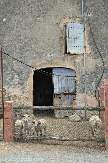 Madremanya, magia medieval en el Baix Empordà 15 lugares con encanto pueblos con encanto madremanya medieval baix empordà toscana catalana fujifilm x-e1