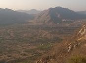 Silvestre, comestible creativo Dawamoru