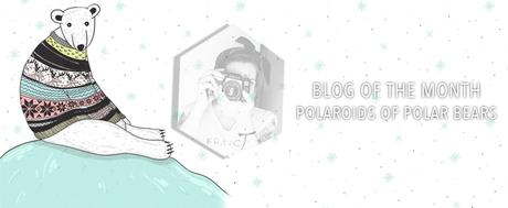 » Blog of the Month: Polaroids of Polar Bears