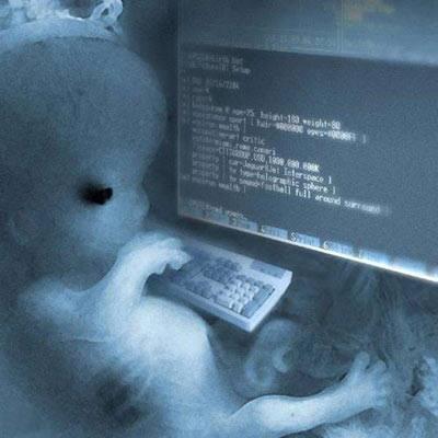 Novedades en la web – Galerías de imágenes y glosario