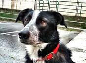 Androidografia Barakaldo CDLXXXI. Pensativo #fotografia