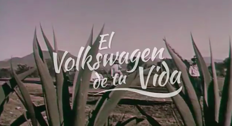 ¿Cuál fue el Volkswagen de tu vida?