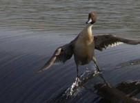 “INCREIBLES” ESTAS 22 FOTOS TE RECORDARÁN QUE NO TODO ES LO QUE PARECE (4TA PARTE)