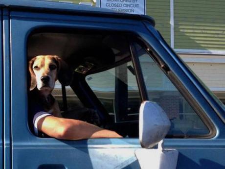 “INCREIBLES” ESTAS 22 FOTOS TE RECORDARÁN QUE NO TODO ES LO QUE PARECE (4TA PARTE)