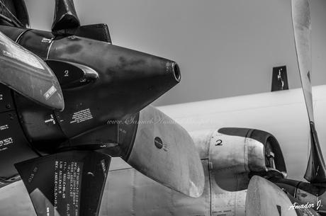 75 ANIV. DE LA BASE AÉREA DE MORÓN DE LA FRONTERA