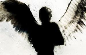 Reseña: Angelfall - Susan Ee