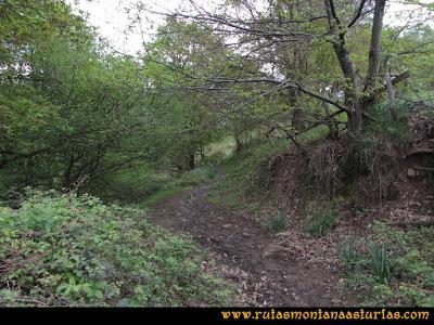 Ruta Ablaña Llosorio:  camino al pico Llosorio