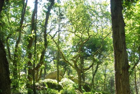 Aprender a gestionar tus premios.