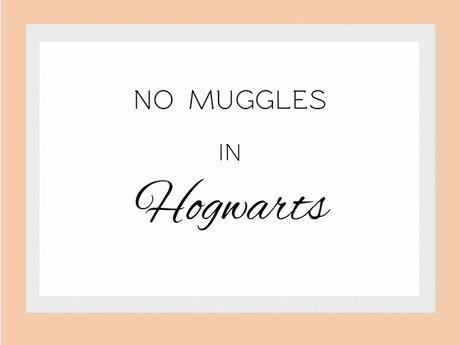 No muggles in Hogwarts