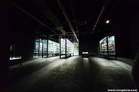 BCN-056-Edificio y Plaza Fórum-13