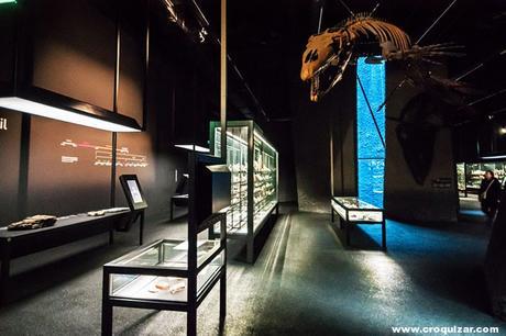 BCN-056-Edificio y Plaza Fórum-14