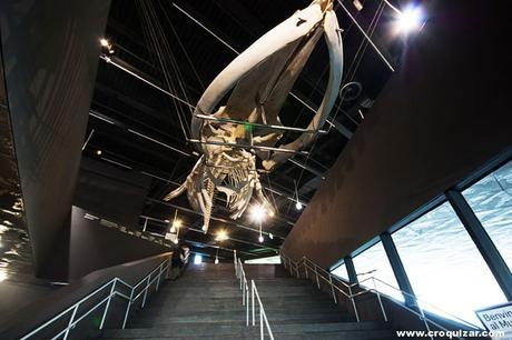 BCN-056-Edificio y Plaza Fórum-11