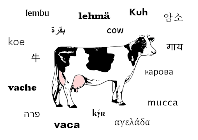 ¿Cómo se escribe un nombre científico?