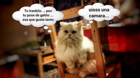 estamos tan agustito