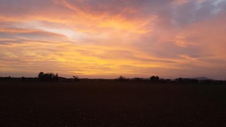 Que no se te olvide entrenar este verano Que no se te olvide entrenar este verano