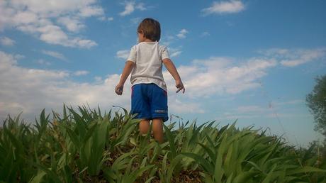 Tutorial Pantalón tiburón