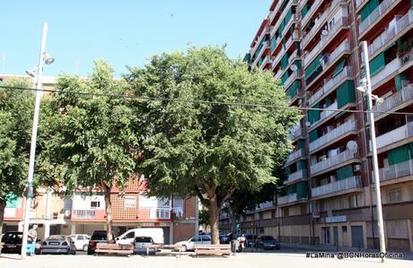 UN PASEO POR EL BARRIO DE LA MINA