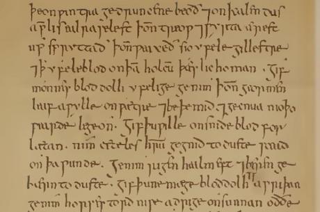 Bald's Leechbook: Medicinale Anglicum Bald's Leechbook Medicinale Anglicum superbug antibiotics grimorio Læceboc laeceboc