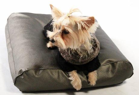 EVENTS + CAUSES :  WE LOVE ANIMALS JUNIO ´15