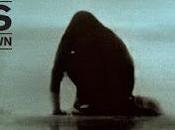 Nuevo disco Foals agosto: 'What went down'