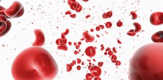 DE MONOCITOS Y OTROS LEUCOCITOS